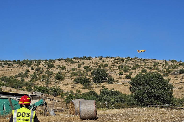 Incendi boschivi: nuovi focolai sulla Murgia tra Minervino ed Andria