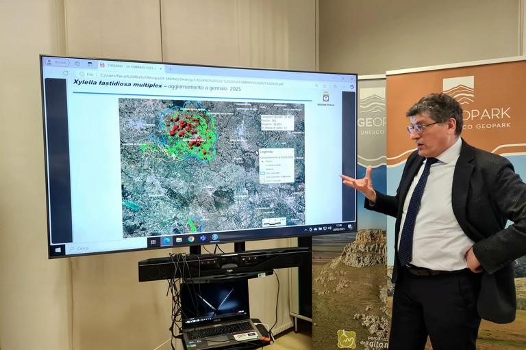 Incontro sulla Xylella