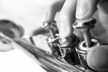 Jazz