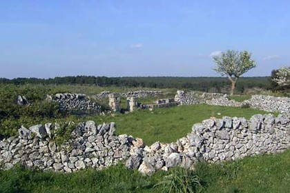 Parco Alta Murgia1