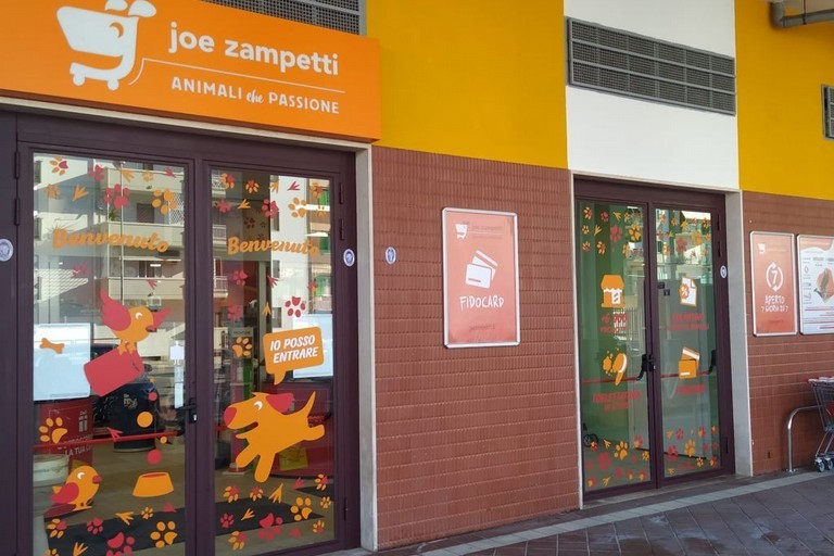 Joe Zampetti