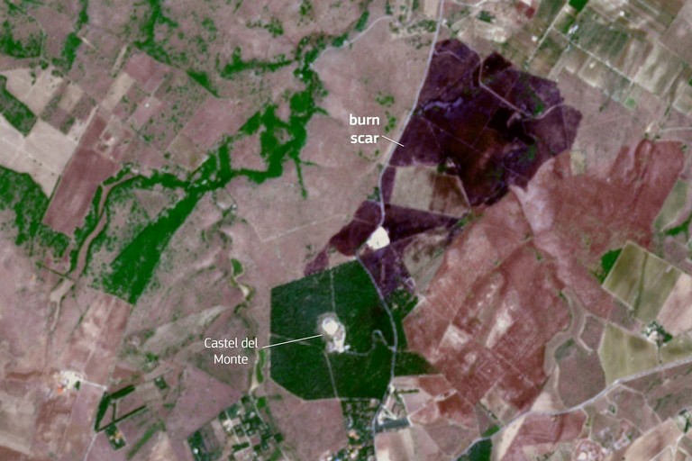 Limmagine del programma Copernicus sullentit dellincendio a Castel del Monte ripresa dal satellite