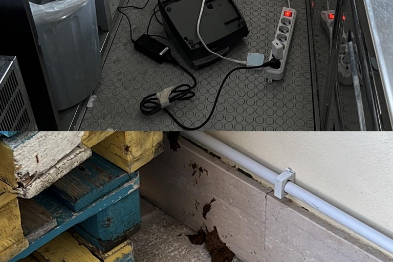 ladri di galline officina san domenico