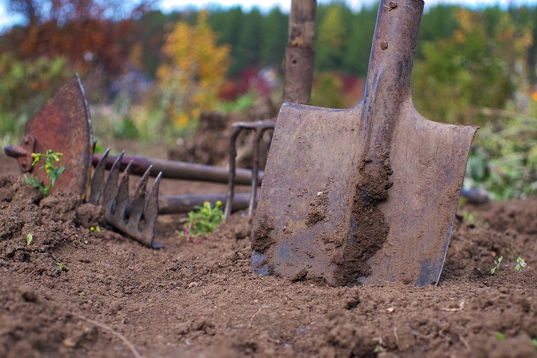 agricoltura