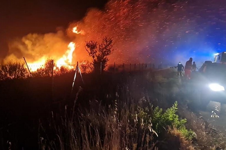 incendi boschivi