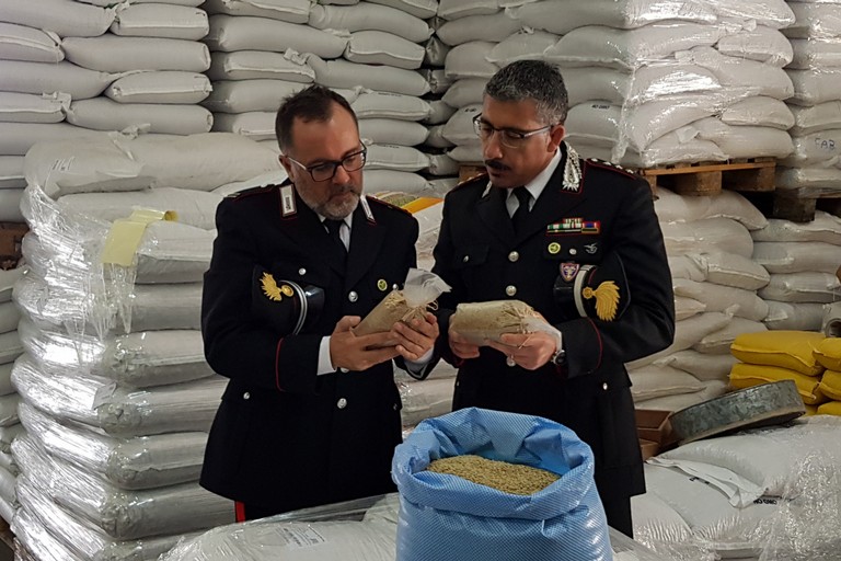 carabinieri forestali