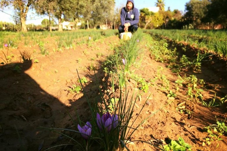 agricoltura