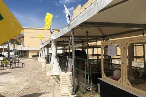 Fiera del Levante