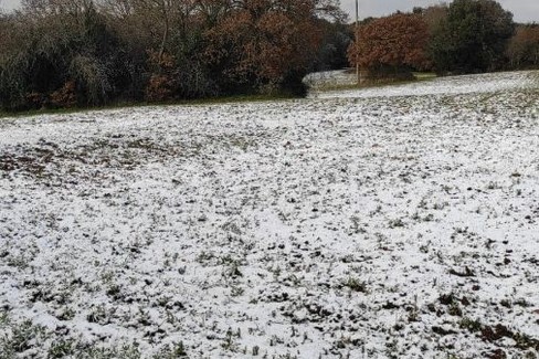 Morsa di gelo e neve in Puglia