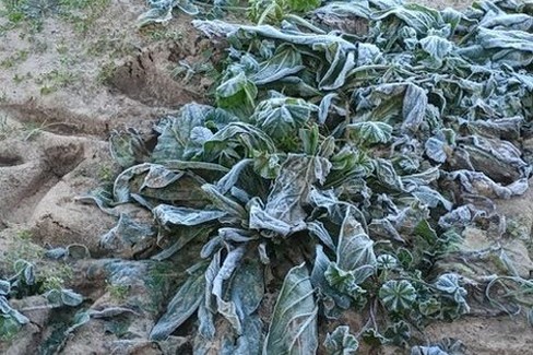 Maltempo in Puglia