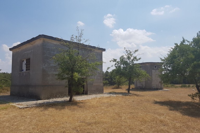 Bosco di Finizio