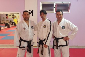 taekwondo stage