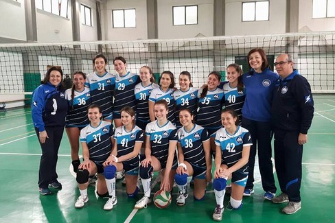 audax volley under