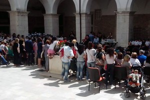 Bimboil 2013