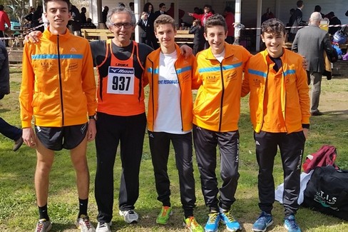itis campestre regionale