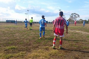 Castellaner