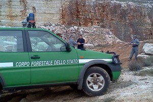 Cava agro di Minervino, Forestali