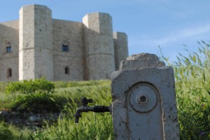 Fontana e Castel del Monte