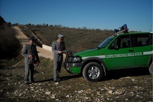 Corpo Forestale dello Stato