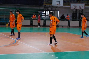 Fotocitt
