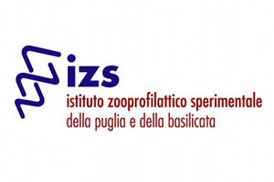 Logoizs
