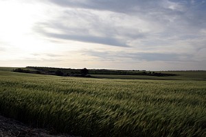 Murgia