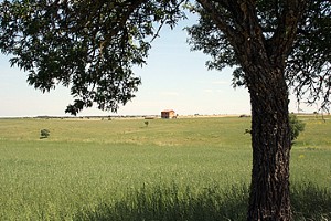 Murgia