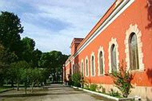Azienda Papparicotta Andria