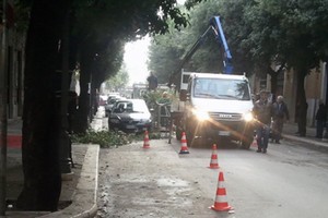 Potatura Viale Roma bloccata