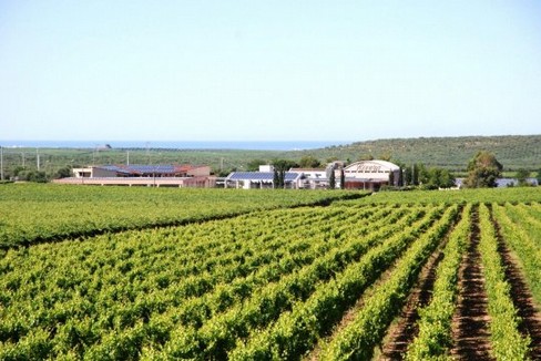 rivera