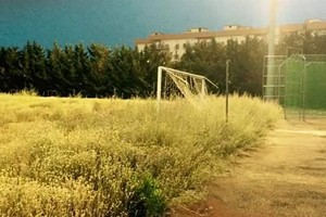 Stadio Sant'Angelo dei Ricchi, situazione drammatica