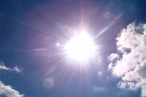 Sole