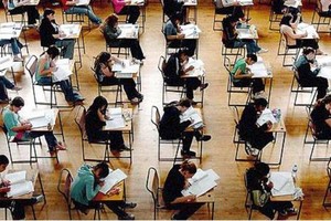 università