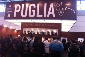 Vini di Puglia