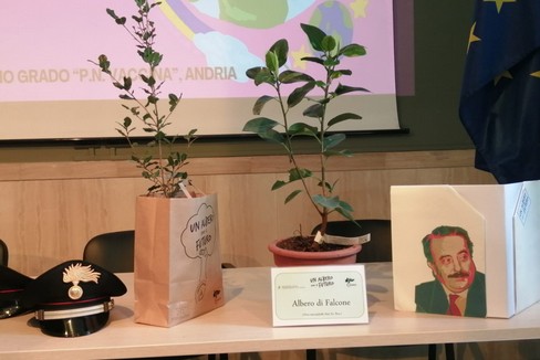 Piantata una talea dell:albero Falcone nella scuola  "Vaccina "