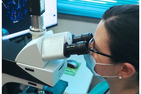microscopio ricerca sanitaria