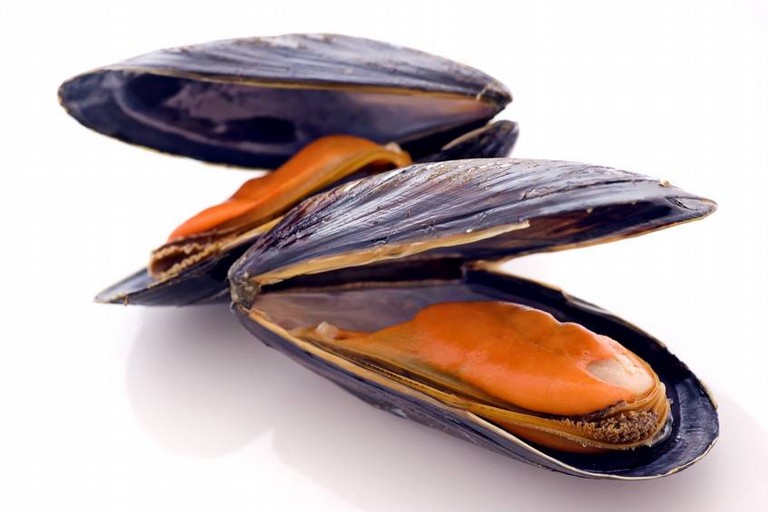 cozze