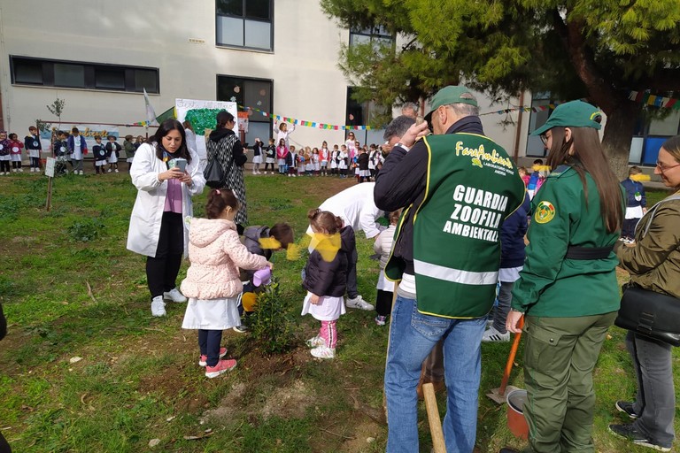 Giornata dell’albero
