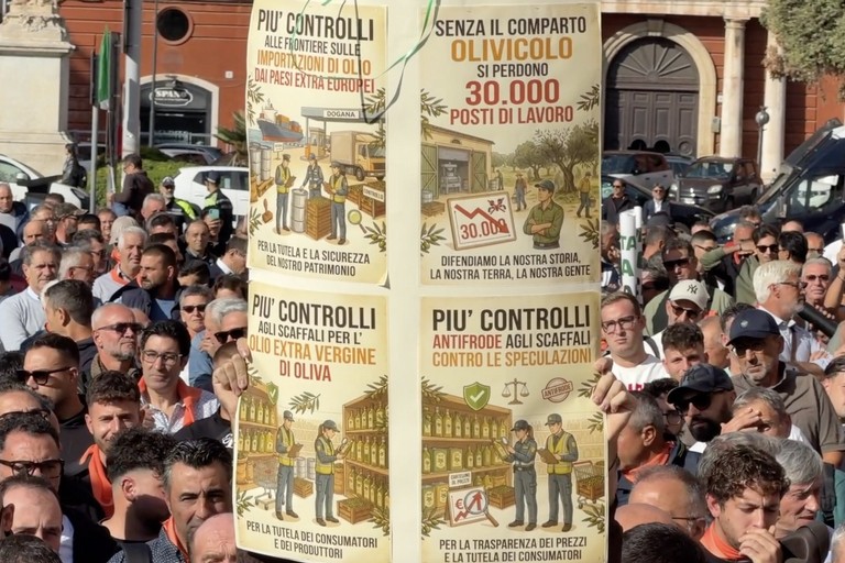 Orgoglio Olivicolo