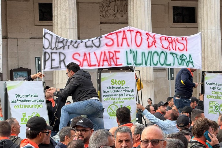 Orgoglio Olivicolo