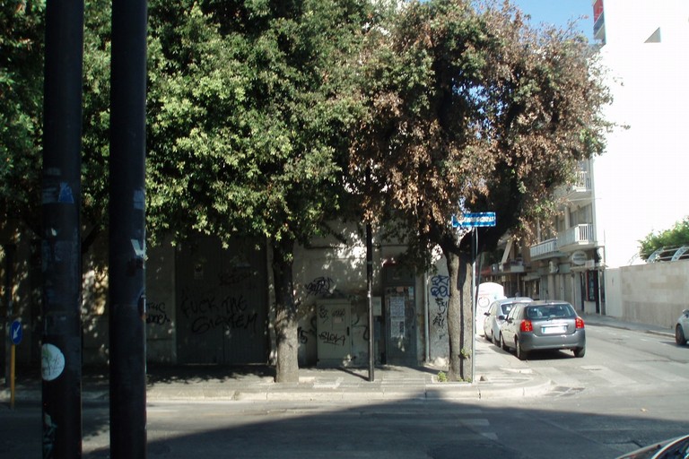 assurdità del passato: lecci piantati a 4m di distanza. <span>Foto Nicola Montepulciano</span>