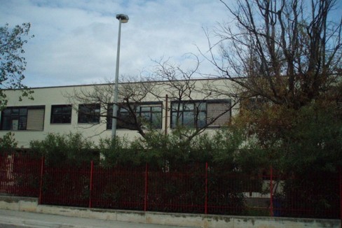 Alberi secchi al III Circolo
