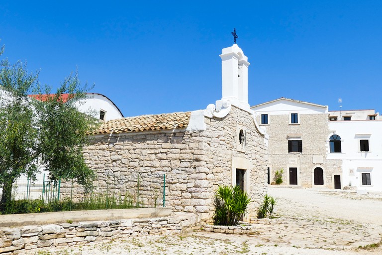 Estate insieme alla Masseria San Vittore. <span>Foto Riccardo Di Pietro</span>