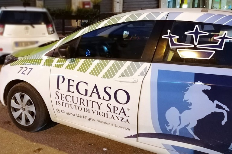 Pegaso