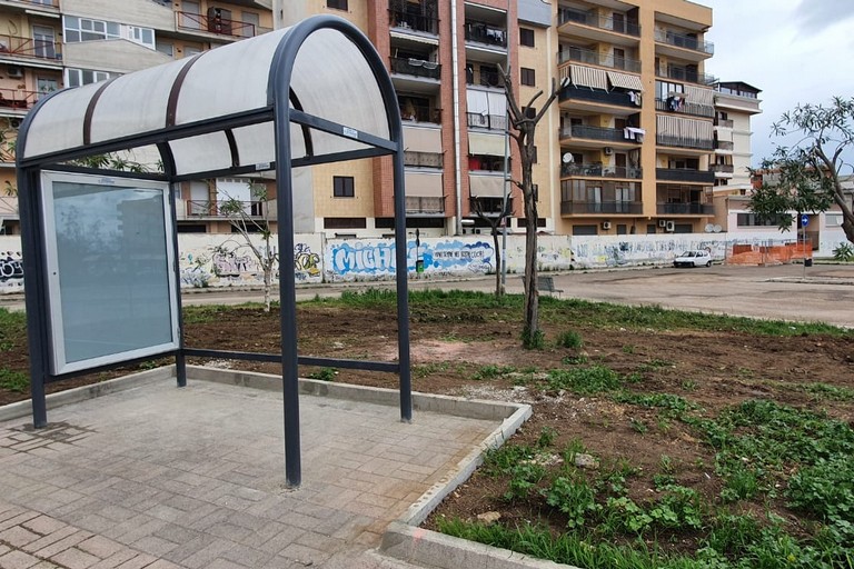 Terminal bus: Pensiline ed alberi per Largo Ceruti