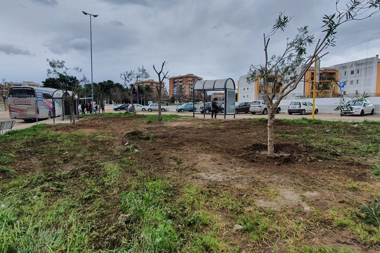 Terminal bus: Pensiline ed alberi per Largo Ceruti