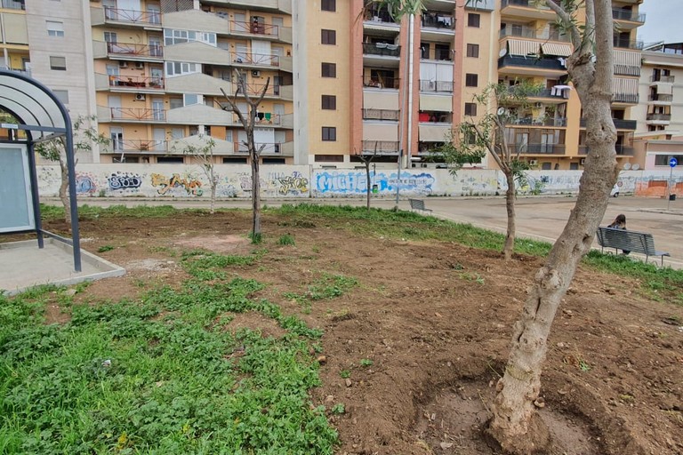 Terminal bus: Pensiline ed alberi per Largo Ceruti