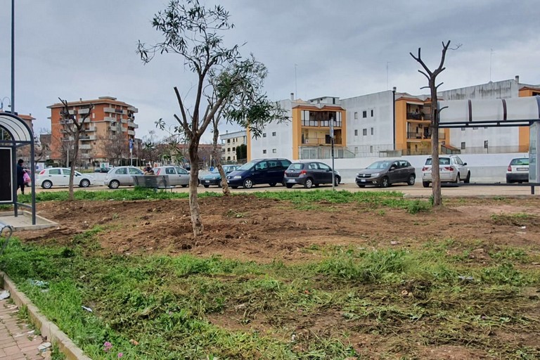 Terminal bus: Pensiline ed alberi per Largo Ceruti