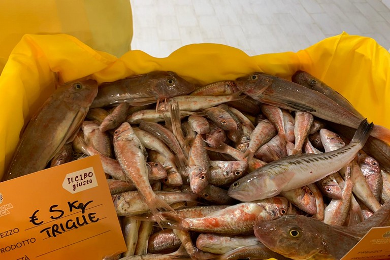 pesce