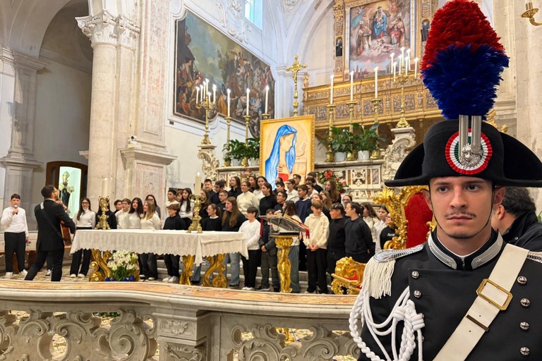 Virgo Fidelis al Santuario